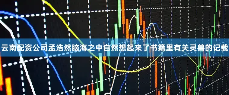 云南配资公司孟浩然脑海之中自然想起来了书籍里有关灵兽的记载